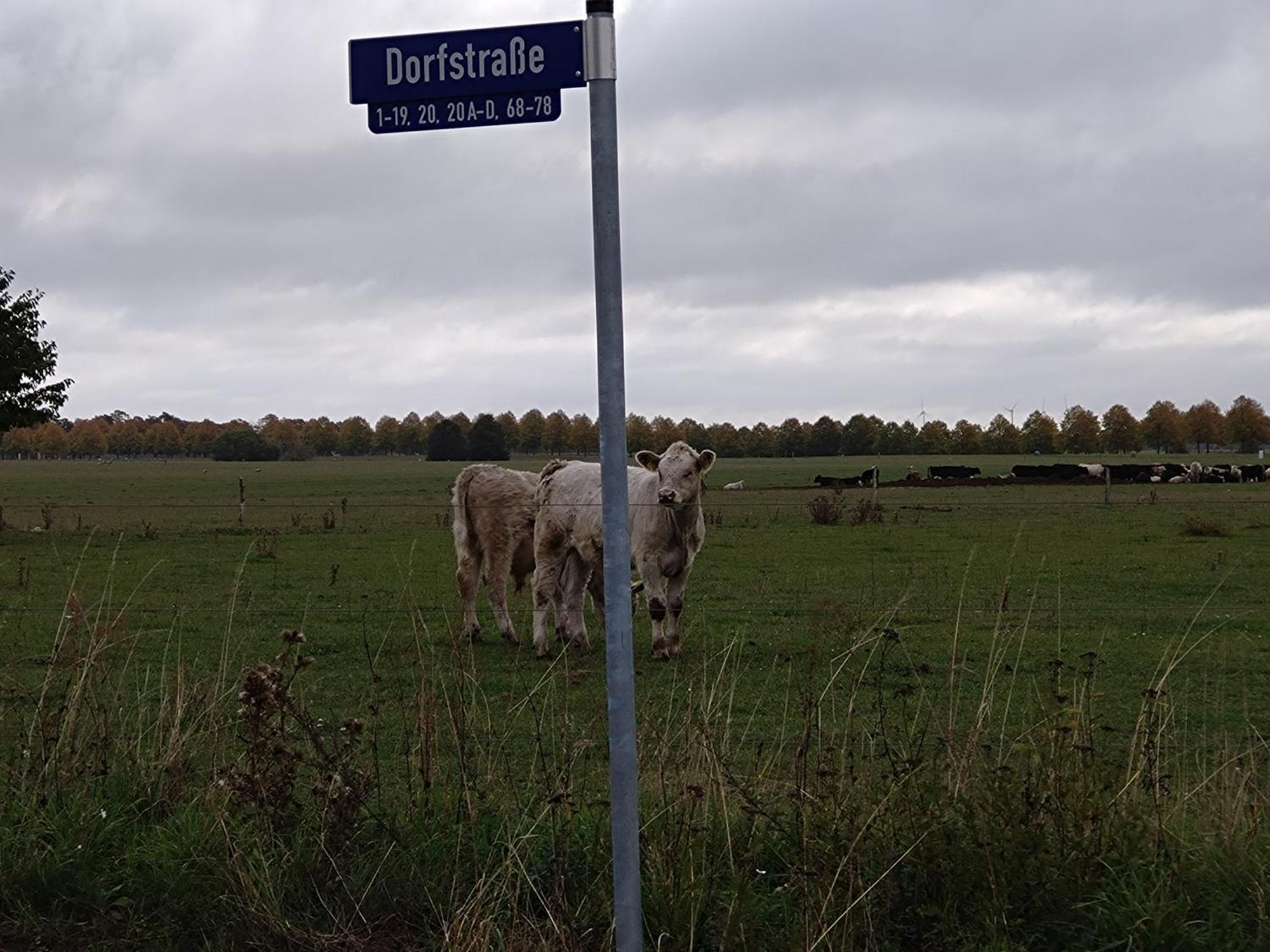 Moderne Barrierefreie Wohnung Auf Dem Land Bei Neuruppin Lichtenberg  外观 照片